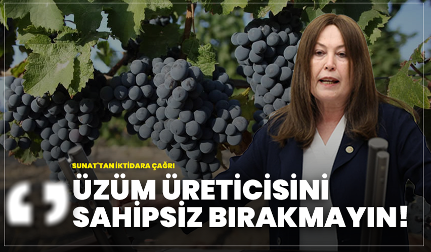 Sunat'tan İktidara Çağrı "Üzüm Üreticisini Sahipsiz Bırakmayın!"