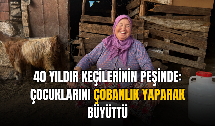 40 Yıldır Keçilerinin Peşinde: Çocuklarını Çobanlık Yaparak Büyüttü