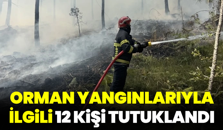 Orman Yangınlarıyla İlgili 12 Kişi Tutuklandı