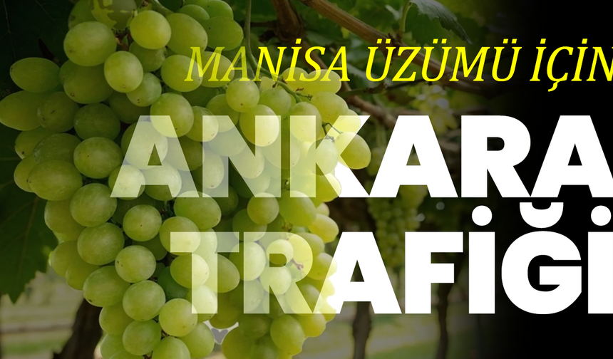 Manisa Üzümü İçin Ankara Trafiği