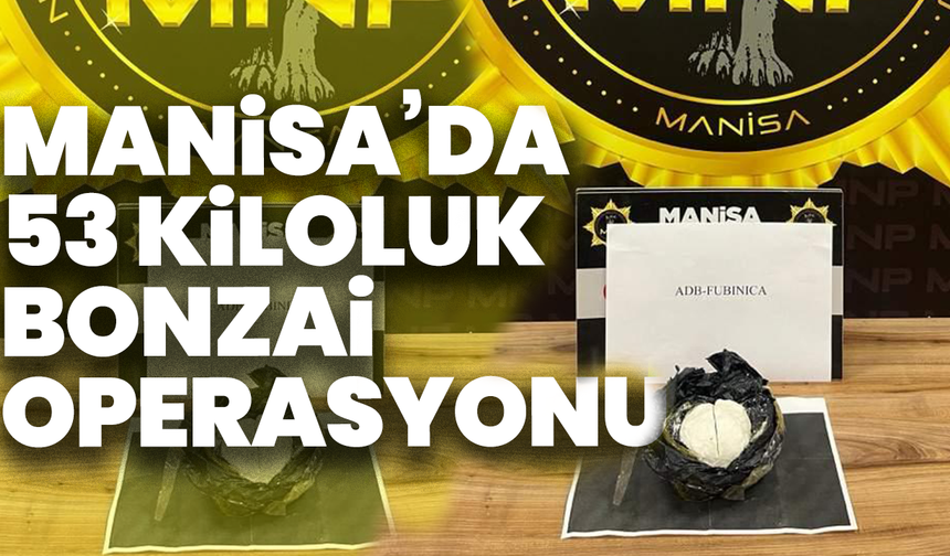 Manisa’da 53 kiloluk bonzai operasyonu