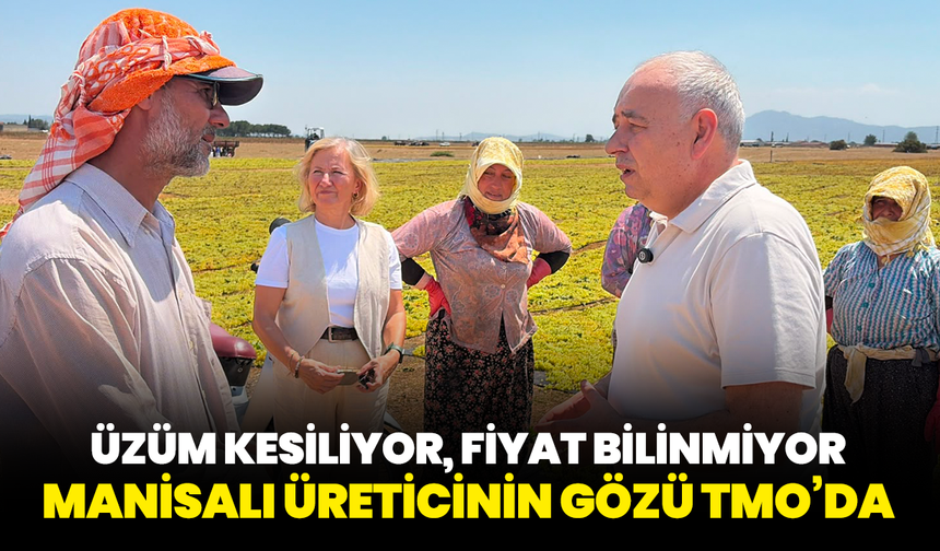 Üzüm kesiliyor, fiyat bilinmiyor: Manisalı üreticinin gözü TMO’da