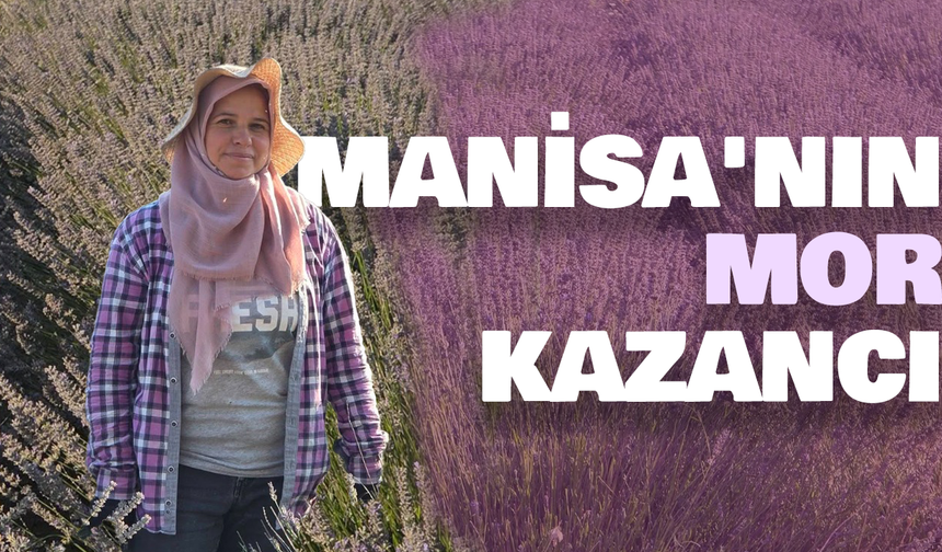 Manisa'nın Mor Kazancı