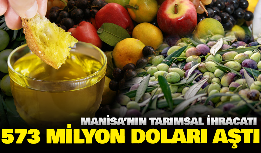 Manisa’nın tarımsal ihracatı 573 milyon doları aştı