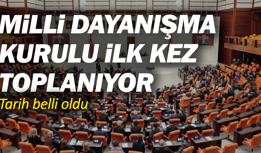 Milli Dayanışma Kurulu ilk kez toplanıyor: Tarih belli oldu