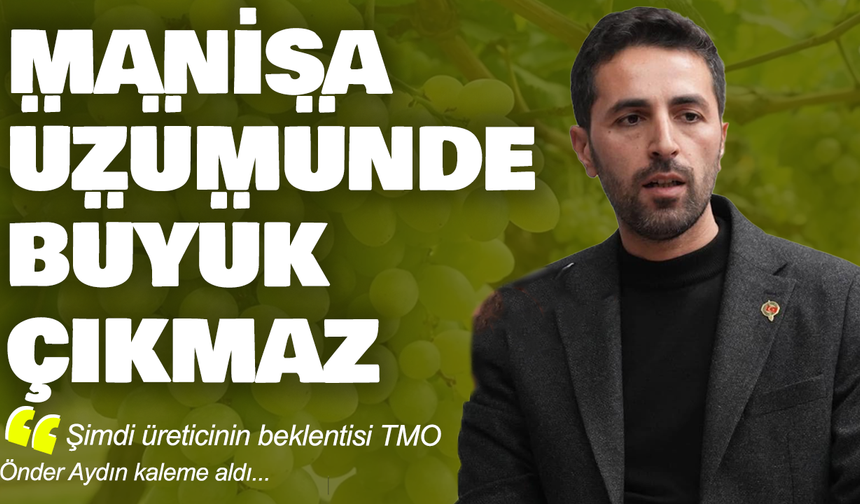 Manisa üzümünde büyük çıkmaz
