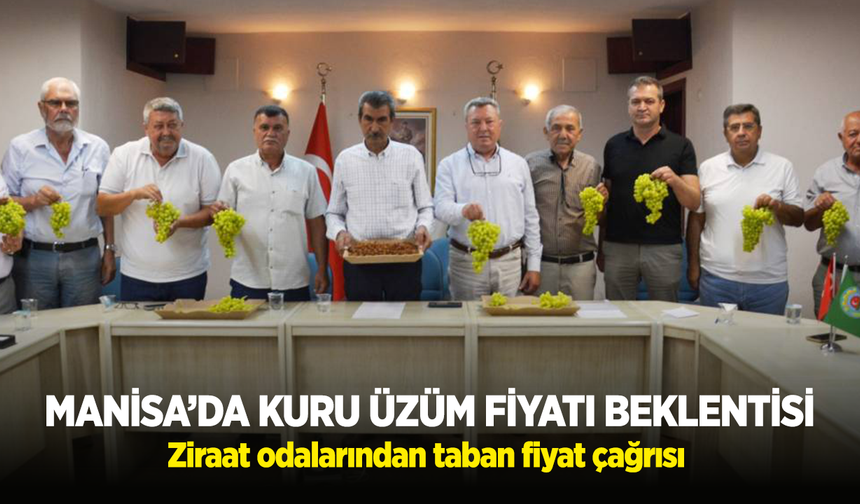Manisa’da kuru üzüm fiyatı beklentisi: Ziraat odalarından taban fiyat çağrısı