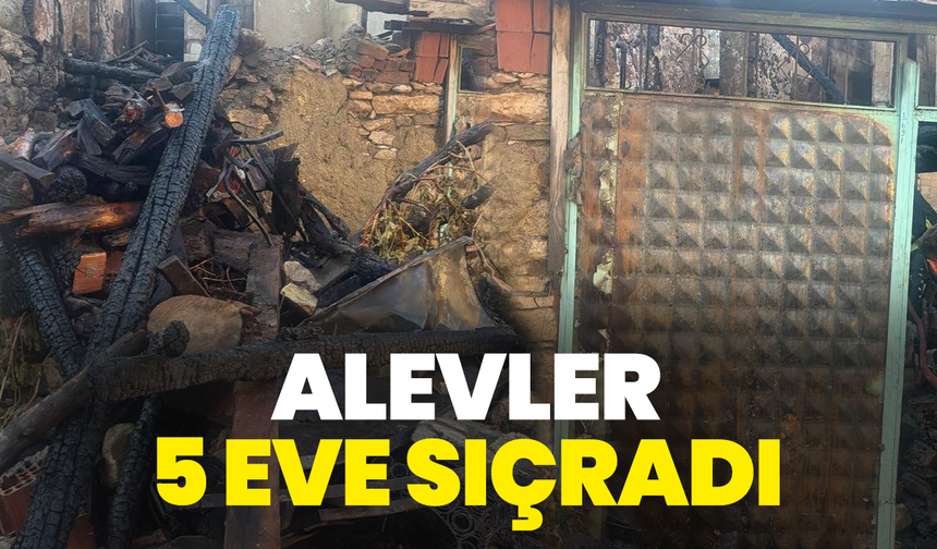 Akhisar’da alevler 5 eve sıçradı