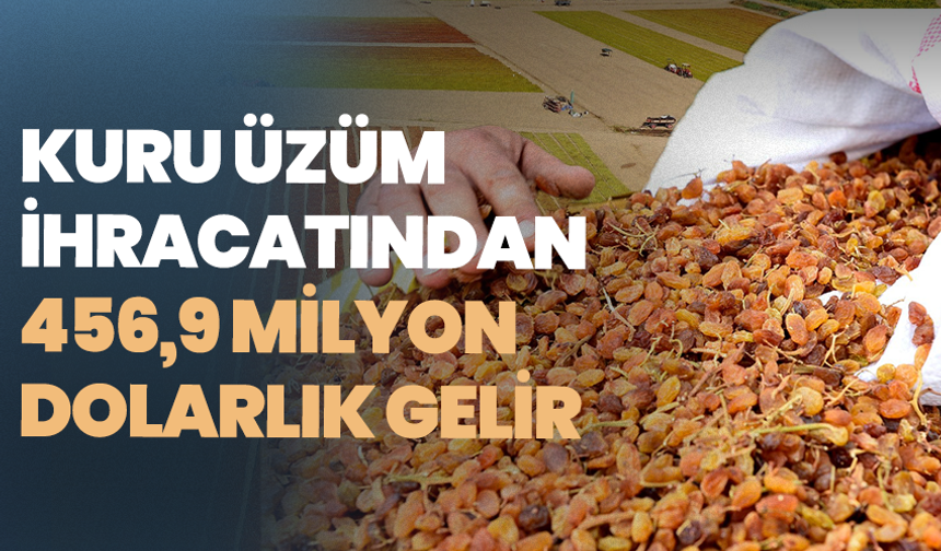 Kuru üzüm ihracatından 456,9 milyon dolarlık gelir