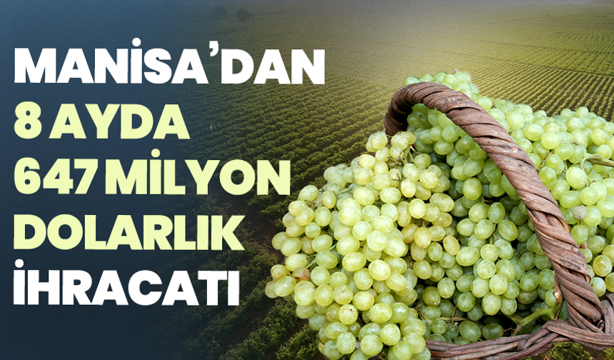 Manisa’dan 8 ayda 647 milyon dolarlık tarım ihracatı