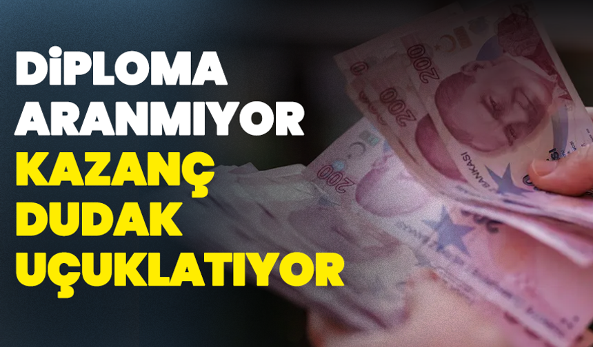 Diploma Aranmıyor, Kazanç Dudak Uçuklatıyor