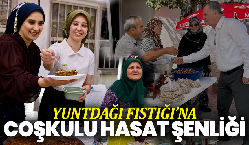 Yuntdağı Fıstığı’na Coşkulu Hasat Şenliği