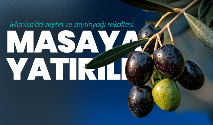 Manisa’da zeytin ve zeytinyağı rekoltesi masaya yatırıldı